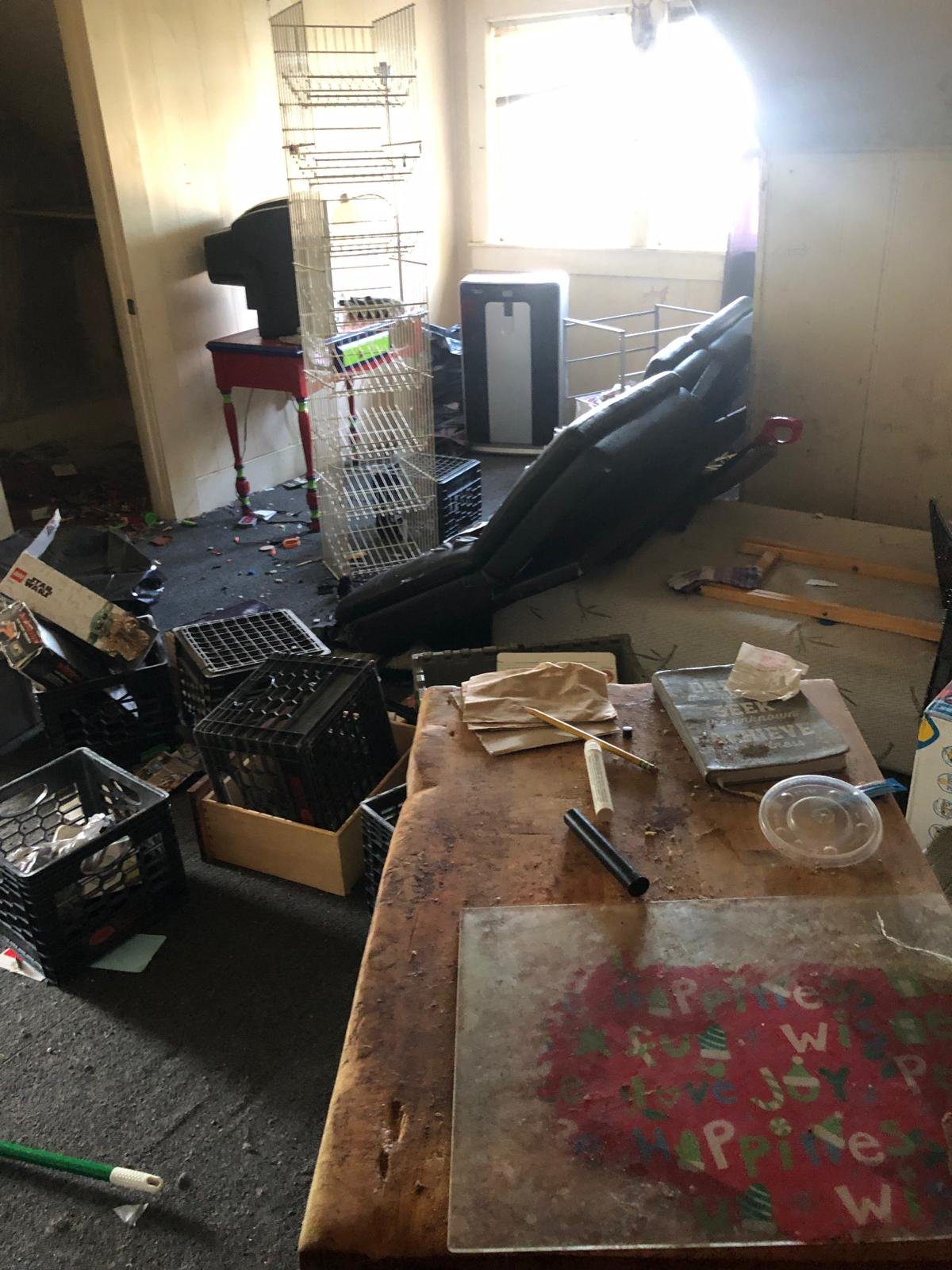 Before-and-after-Junk-removal-1